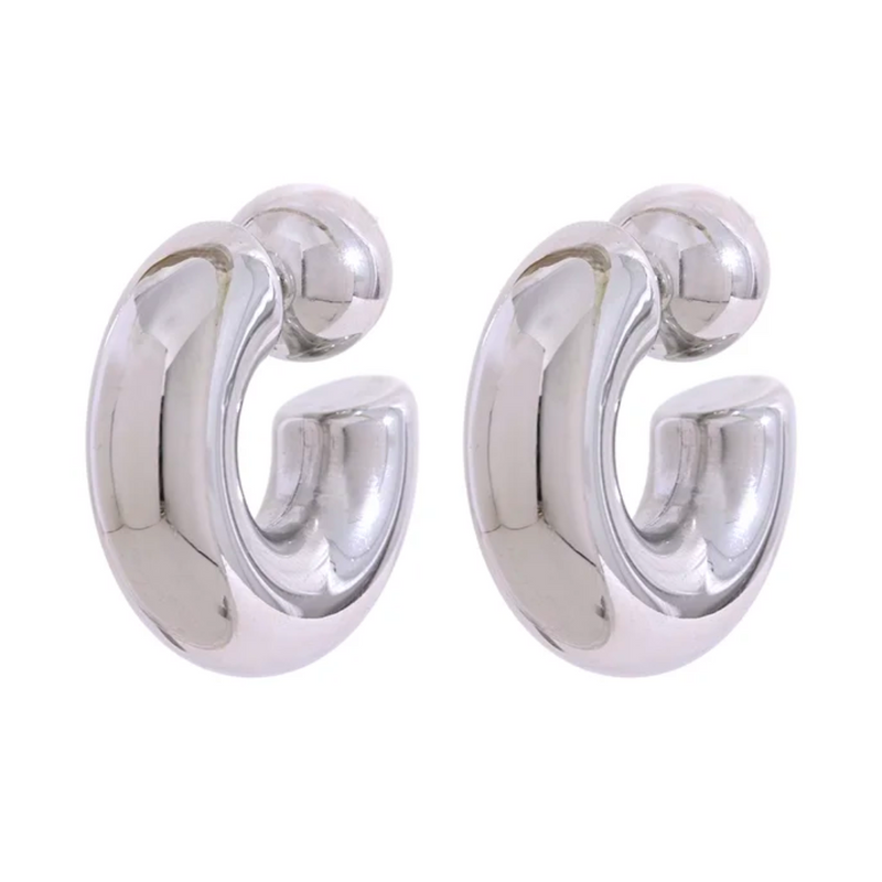 Stainless Steel Chunky Earrings