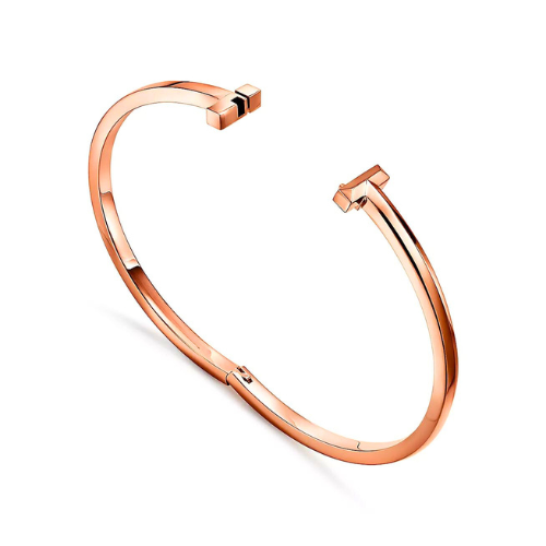 T Narrow Hinged Bangle