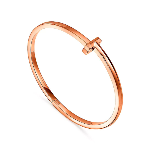 T Narrow Hinged Bangle